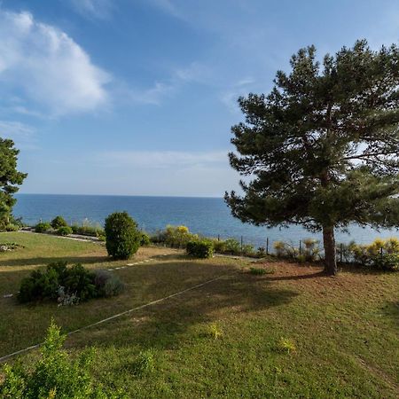 Sunshine House Offering Spectacular Views To Olymp A Apartment เนอาอิรากลีอา ภายนอก รูปภาพ