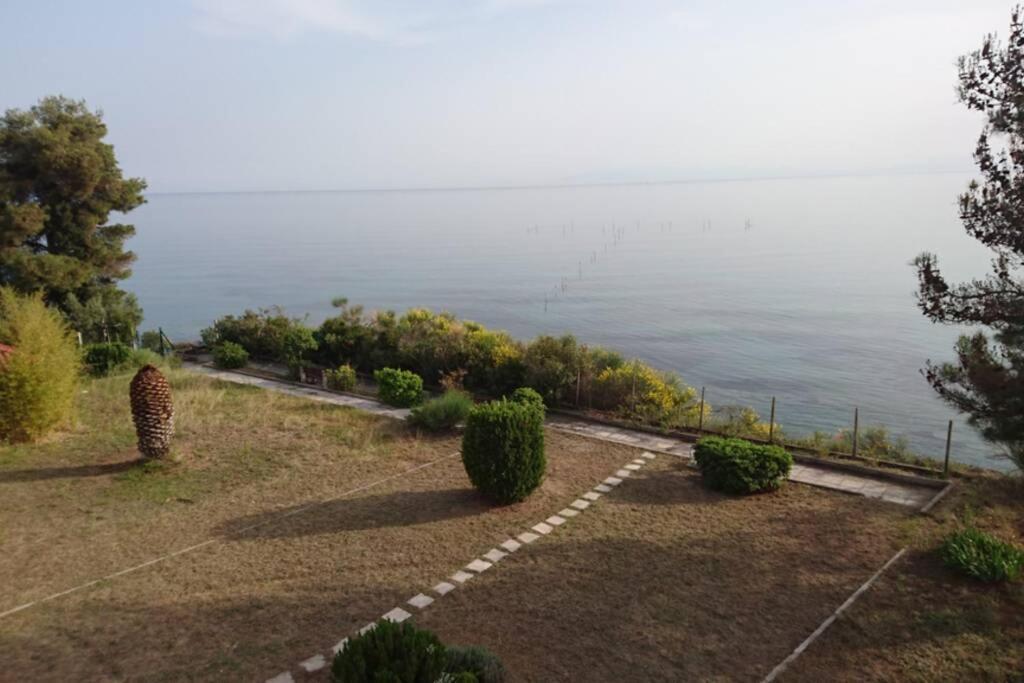 Sunshine House Offering Spectacular Views To Olymp A Apartment เนอาอิรากลีอา ภายนอก รูปภาพ