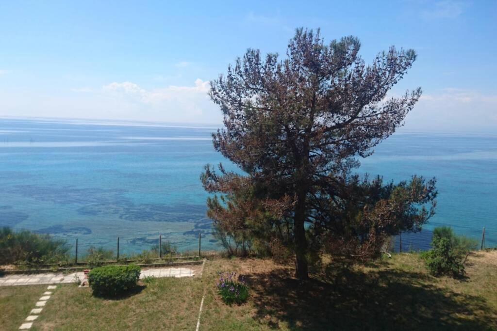 Sunshine House Offering Spectacular Views To Olymp A Apartment เนอาอิรากลีอา ภายนอก รูปภาพ