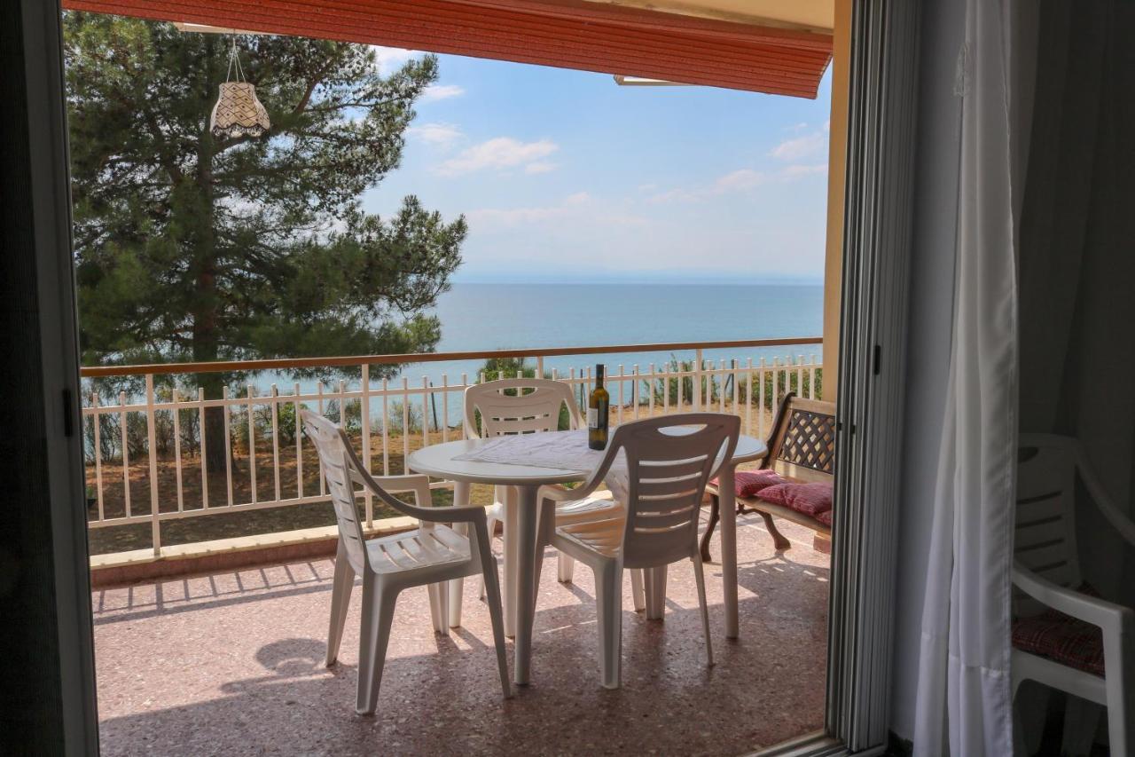 Sunshine House Offering Spectacular Views To Olymp A Apartment เนอาอิรากลีอา ภายนอก รูปภาพ