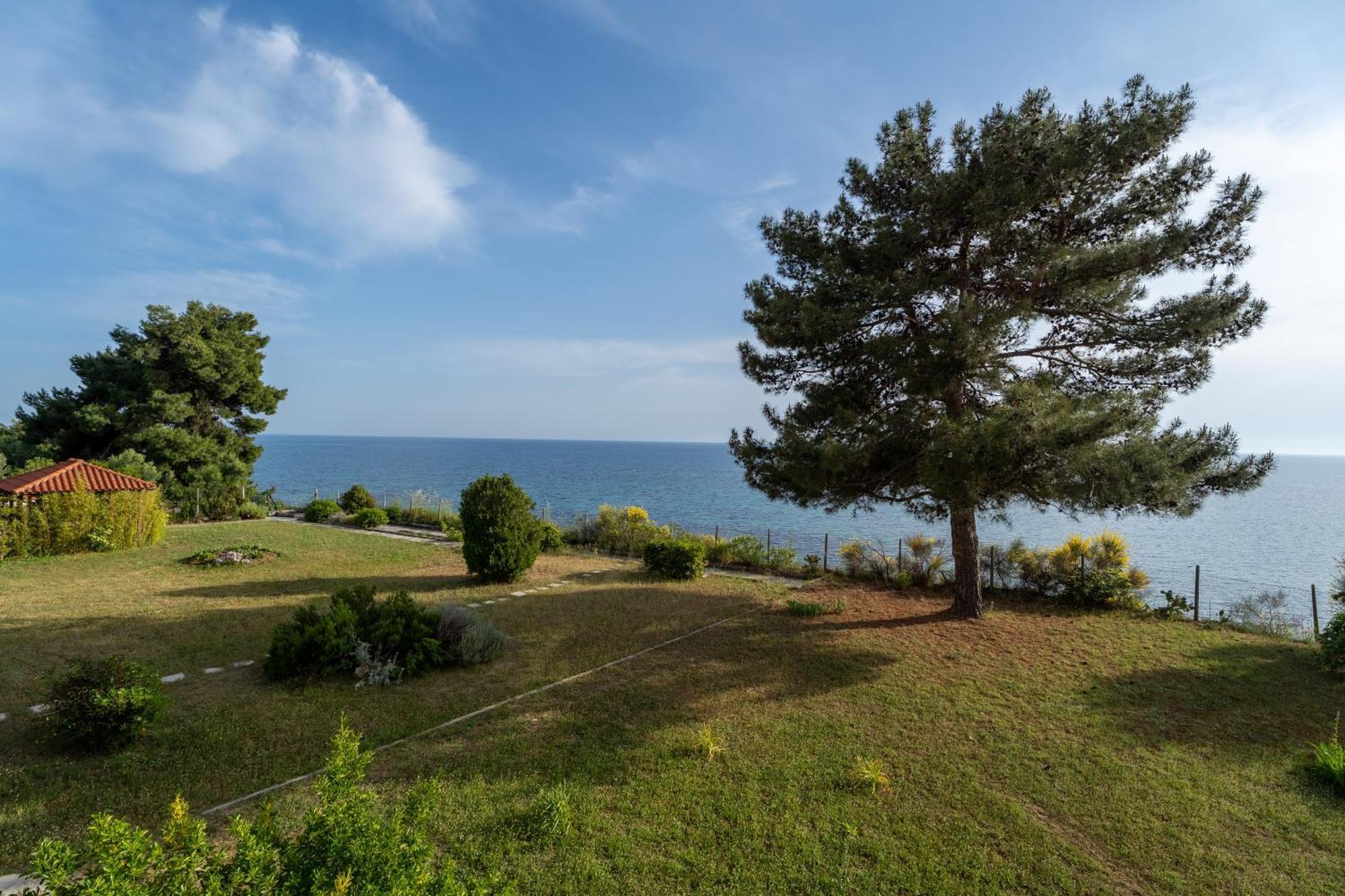 Sunshine House Offering Spectacular Views To Olymp A Apartment เนอาอิรากลีอา ภายนอก รูปภาพ