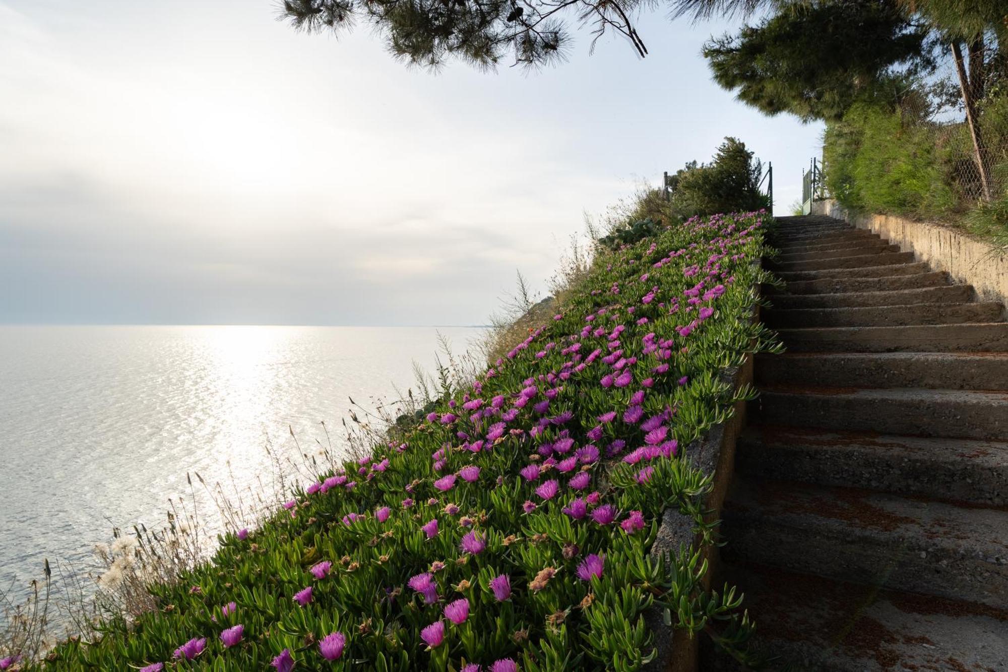 Sunshine House Offering Spectacular Views To Olymp A Apartment เนอาอิรากลีอา ภายนอก รูปภาพ